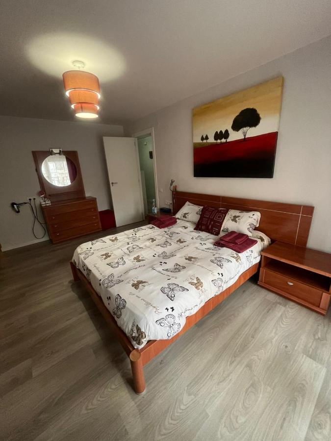 Apartamento Xativa Apartment Екстериор снимка